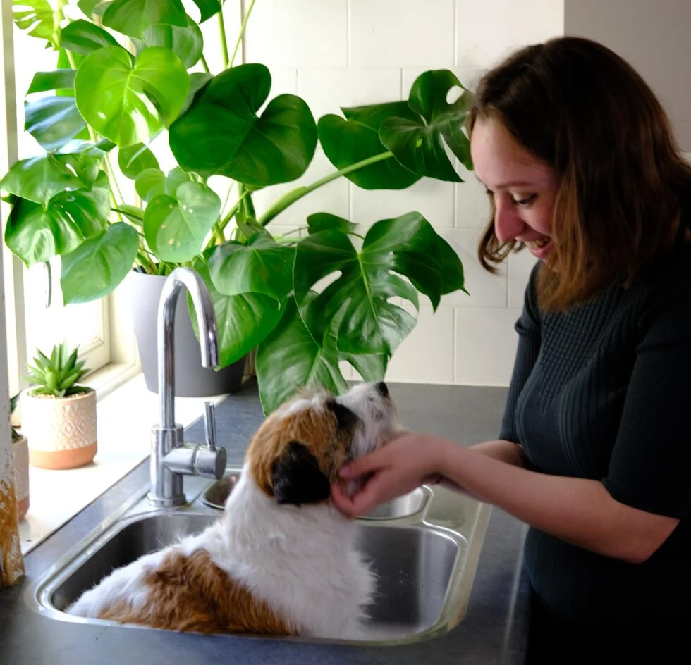 Juul van Trimsalon Ody wast een hond met liefdevolle aandacht in de vertrouwde thuisomgeving