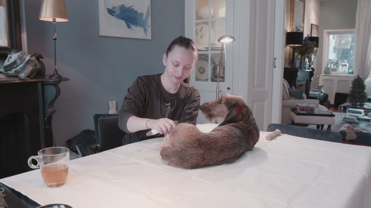 Video afspelen: zo werkt trimmen aan huis bij Trimsalon Ody
